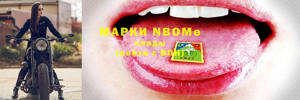 индика Аркадак