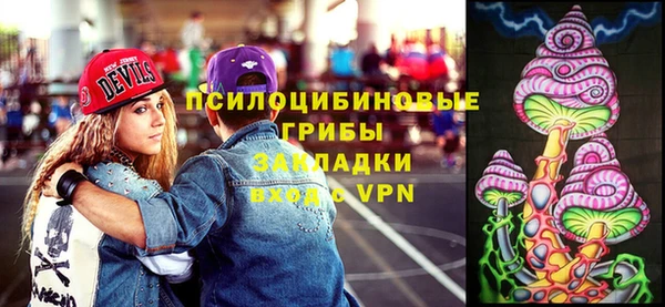 мет Алексин