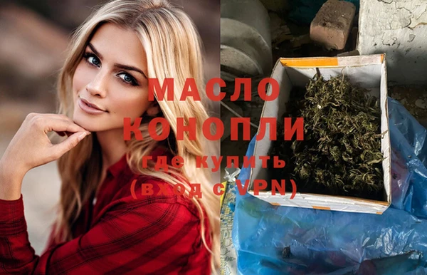 индика Аркадак