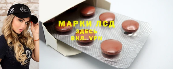 индика Аркадак