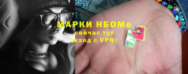 прущие грибы Горно-Алтайск