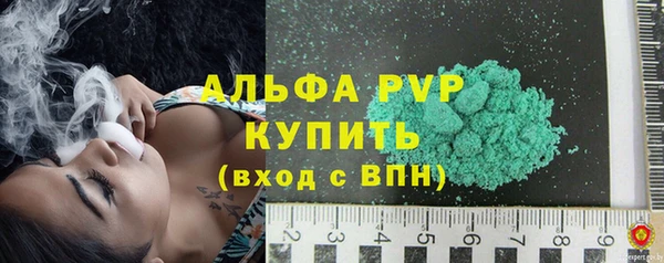 индика Аркадак
