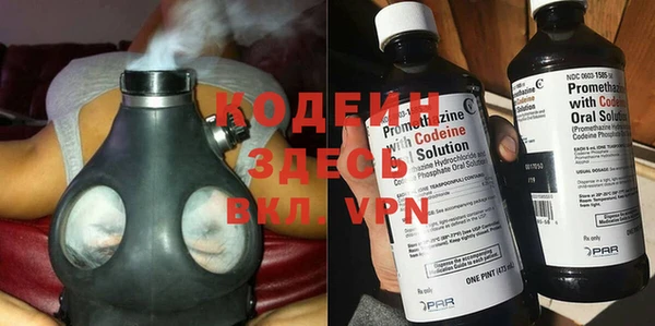 ПСИЛОЦИБИНОВЫЕ ГРИБЫ Вяземский