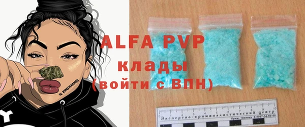 индика Аркадак