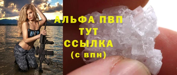 индика Аркадак