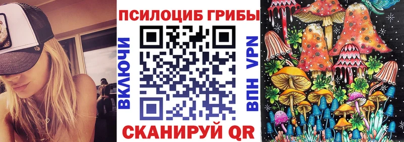 Галлюциногенные грибы Psilocybine cubensis  Кашин 