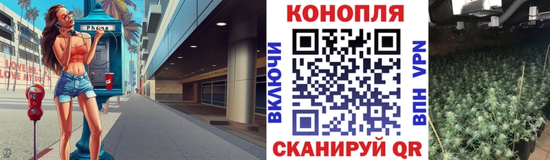 Бошки Шишки конопля Кашин